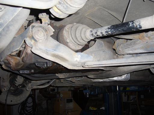 foto k příspěvku  od unregistered