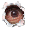 foto k příspěvku  od Aligátor