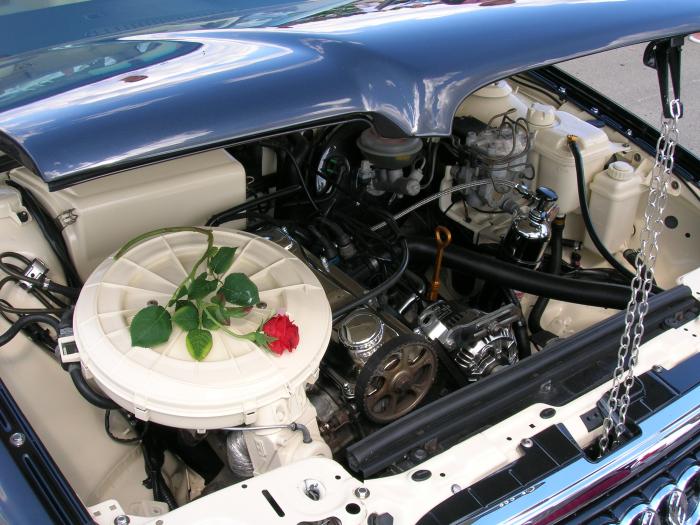 foto k příspěvku  od ruffrider