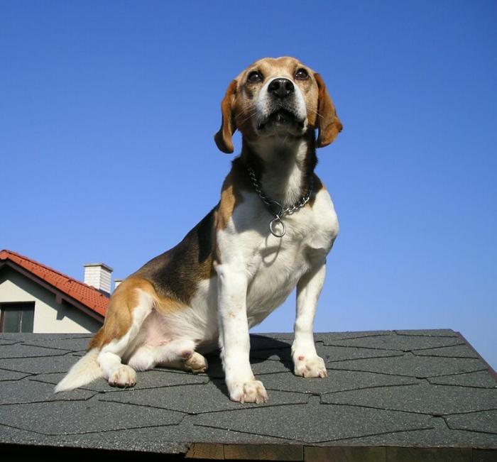 foto k příspěvku  od cupra.165