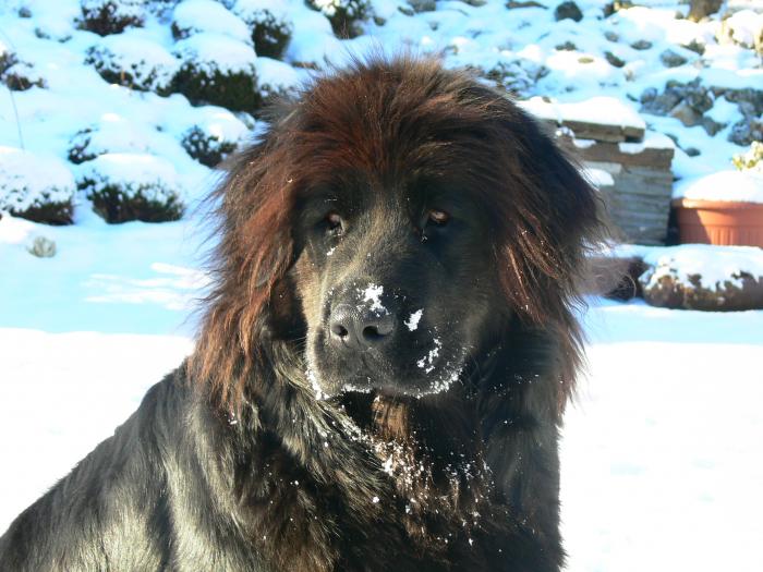 foto k příspěvku  od D@ve_83