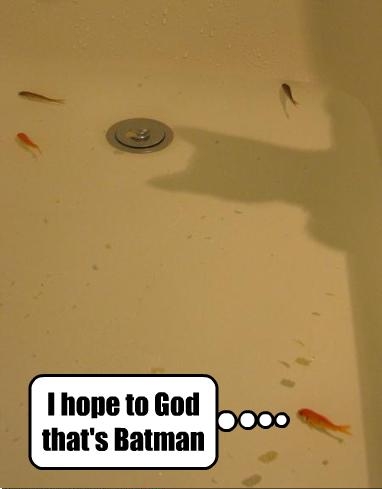 foto k příspěvku  od muSlim