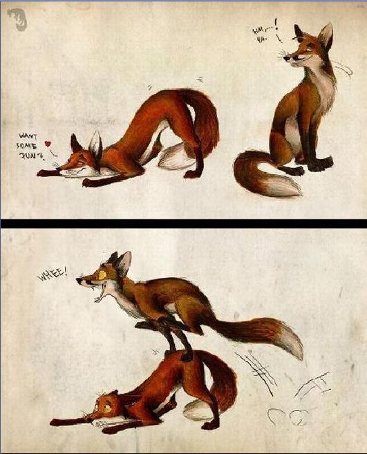 foto k příspěvku  od kozlustechnykus