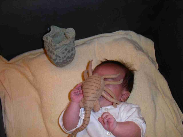 foto k příspěvku  od muSlim