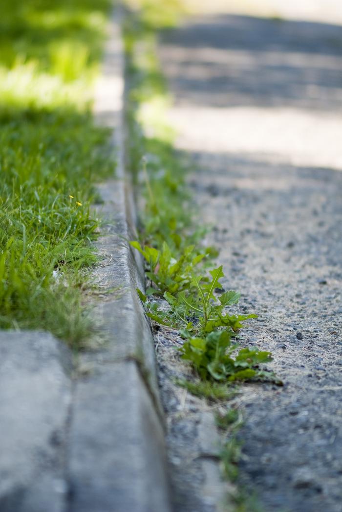 foto k příspěvku  od Nora