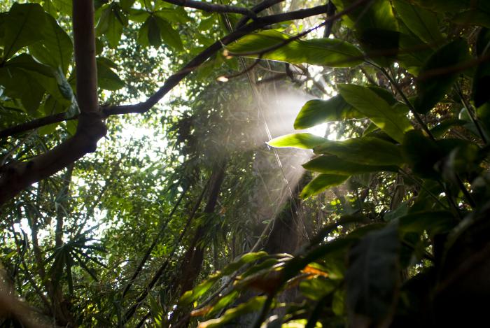 foto k příspěvku  od Bucci