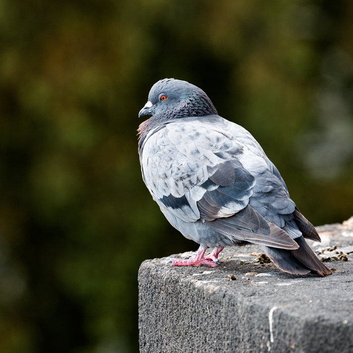 foto k příspěvku  od xenon04