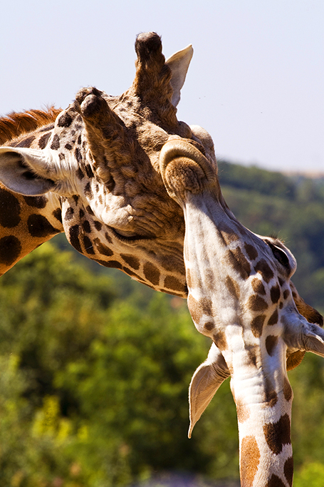 foto k příspěvku  od Crimson