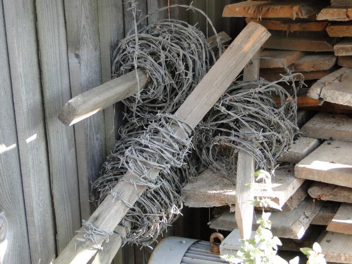 foto k příspěvku  od endru.ondra