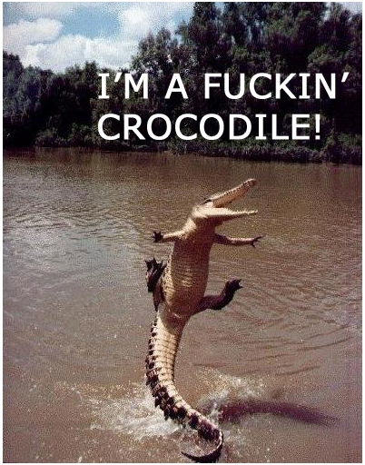 foto k příspěvku  od muSlim