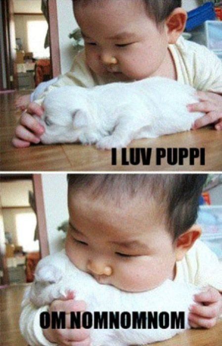 foto k příspěvku  od TROY