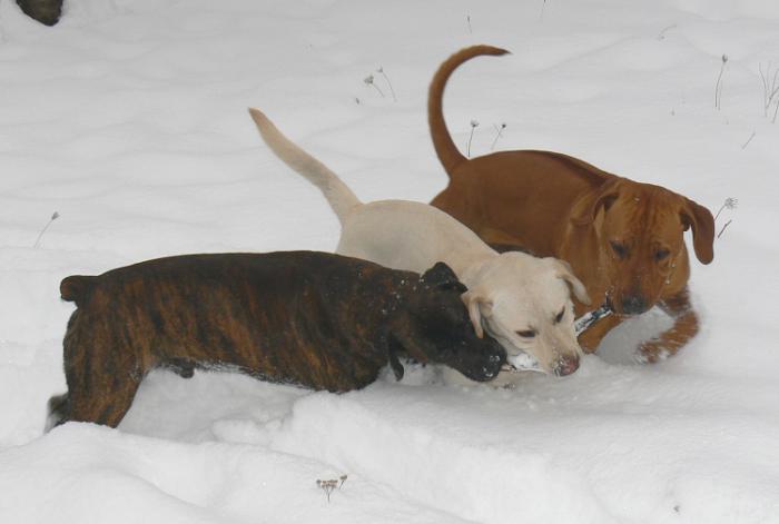 foto k příspěvku  od Legacy 2.5