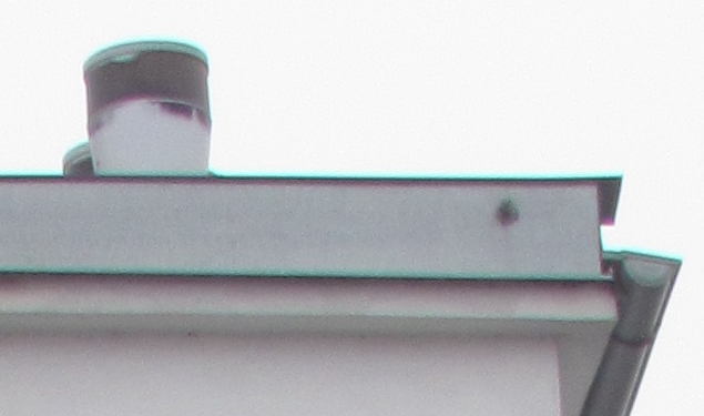 foto k příspěvku  od Crimson