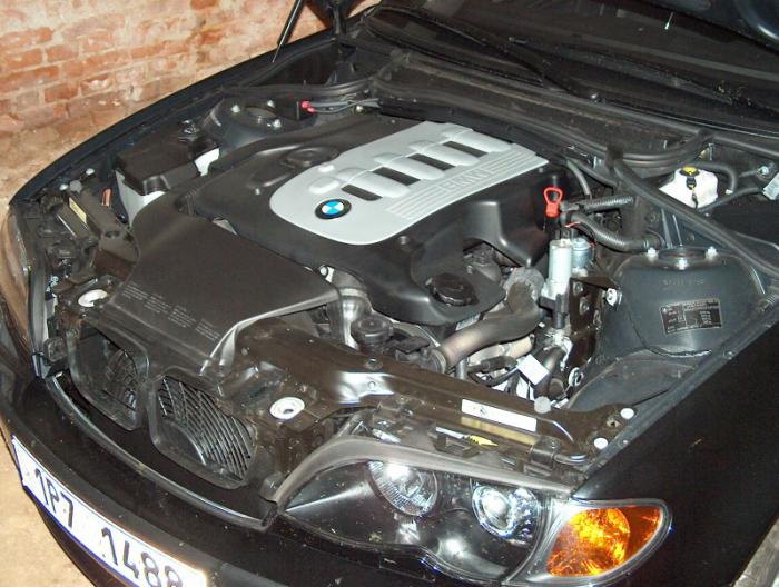 foto k příspěvku  od lukke