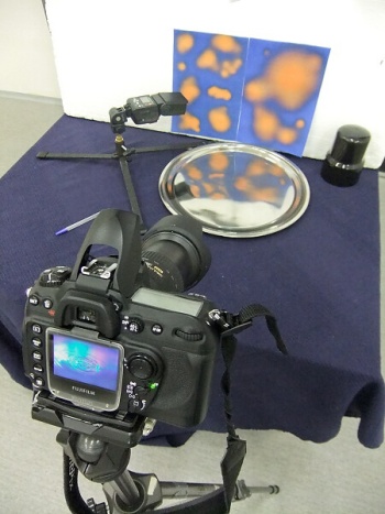 foto k příspěvku  od Crimson