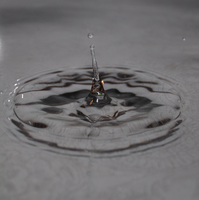 foto k příspěvku  od Toy