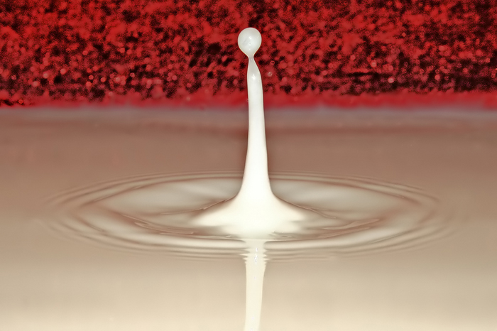 foto k příspěvku  od Crimson