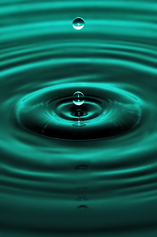 foto k příspěvku  od Crimson