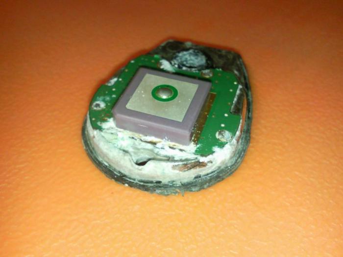 foto k příspěvku  od ACEMajky