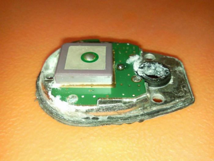 foto k příspěvku  od ACEMajky