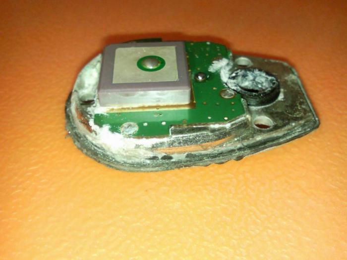 foto k příspěvku  od ACEMajky