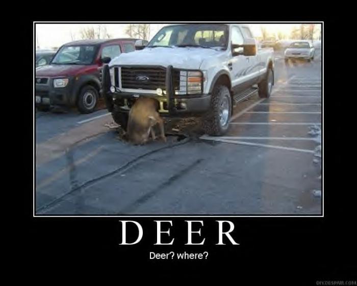 foto k příspěvku  od Lukasino