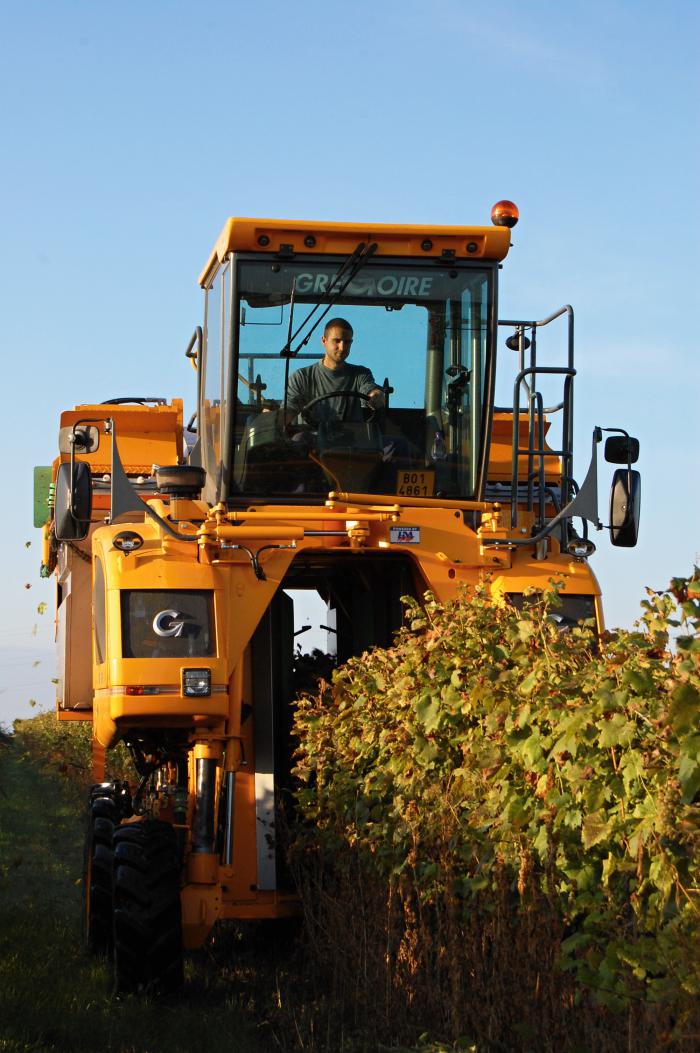 foto k příspěvku  od Jerry.s