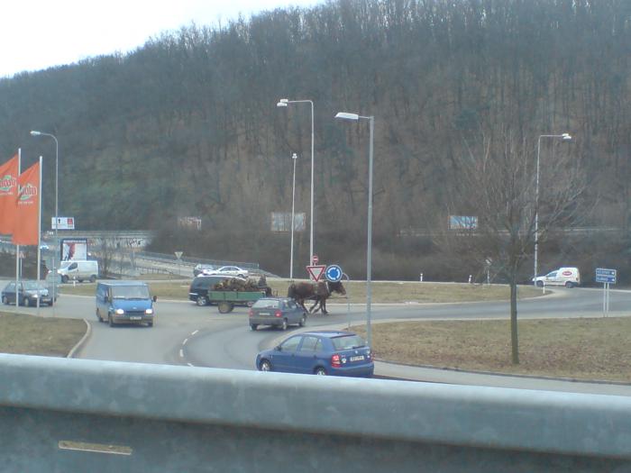 foto k příspěvku  od zzuska