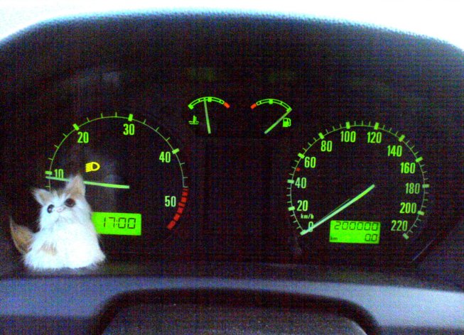 foto k příspěvku  od giuseppe