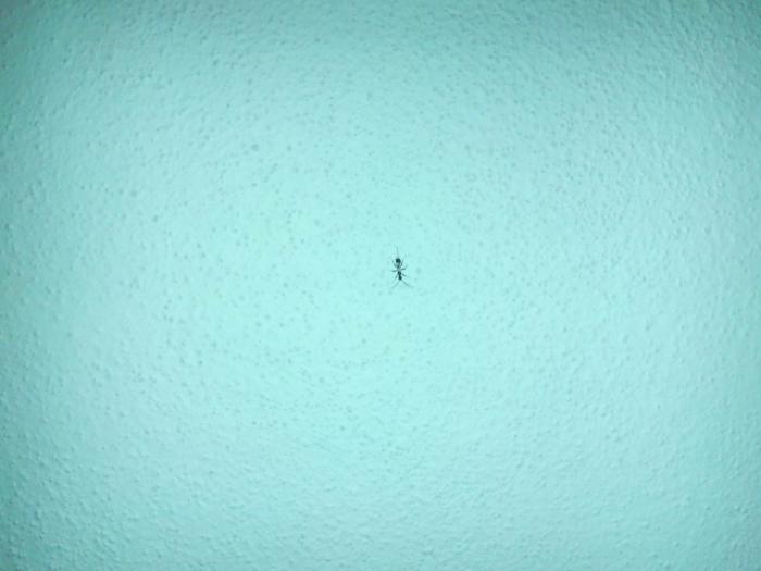 foto k příspěvku  od ACEMajky