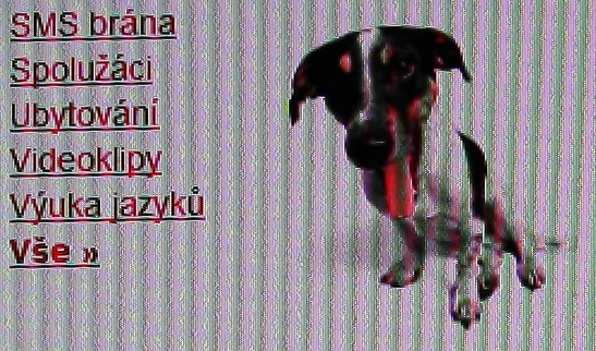 foto k příspěvku  od Crimson