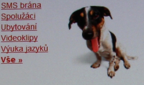 foto k příspěvku  od Crimson