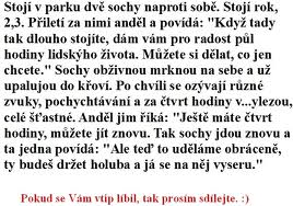 foto k příspěvku  od Schejby