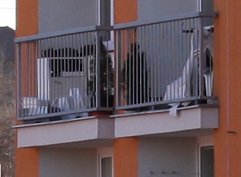 foto k příspěvku  od Crimson