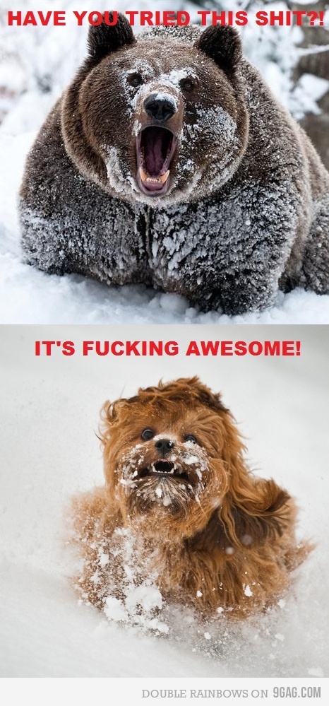 foto k příspěvku  od muSlim