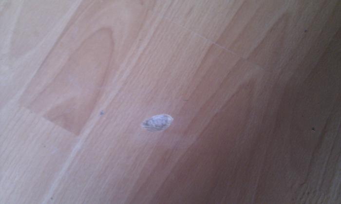 foto k příspěvku  od Paczqo