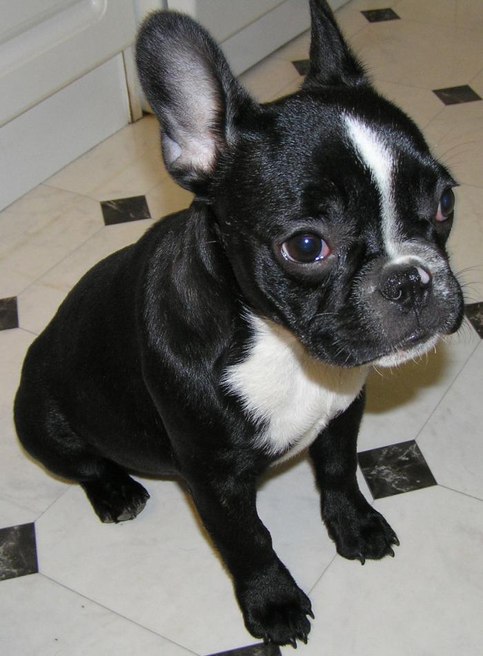 foto k příspěvku  od SEKIN