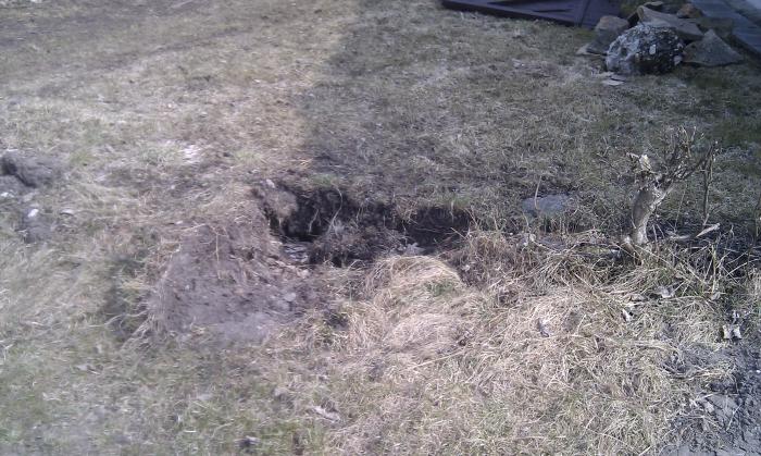 foto k příspěvku  od Paczqo