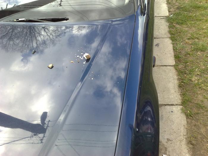 foto k příspěvku  od Brnďa