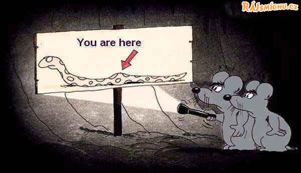 foto k příspěvku  od Thullo