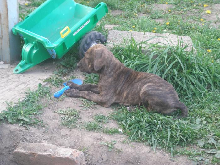 foto k příspěvku  od jura.j