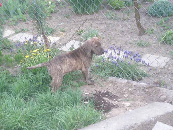 foto k příspěvku  od jura.j