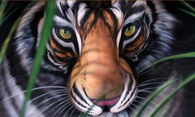 foto k příspěvku  od doronel