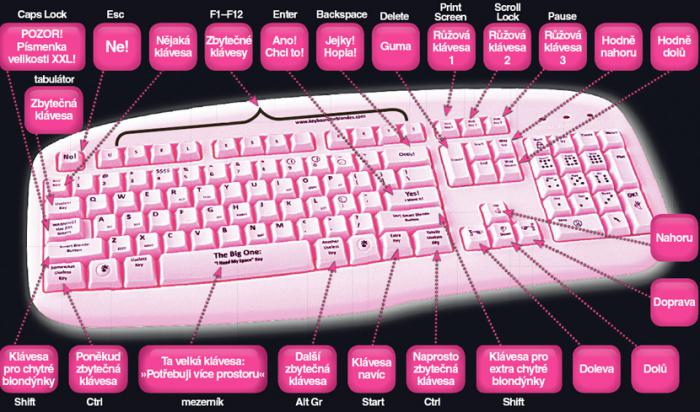 foto k příspěvku  od DaveX