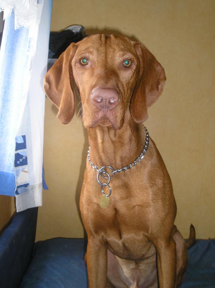 foto k příspěvku  od kincmar