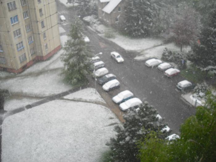 foto k příspěvku  od bafis