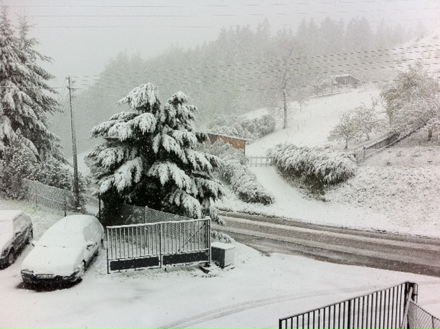 foto k příspěvku  od Žigi