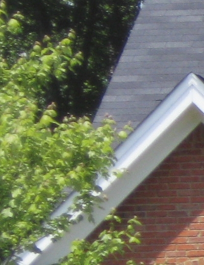 foto k příspěvku  od Crimson