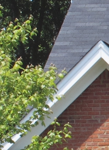 foto k příspěvku  od Crimson