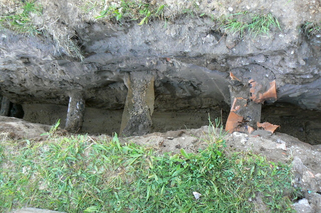 foto k příspěvku  od Milhauzz